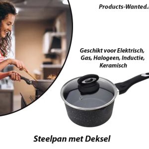 Steelpan met Deksel Geschikt voor alle Warmtebronnen (Inclusief Inductie)